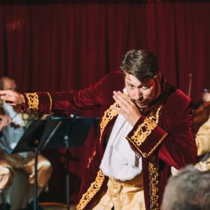 mozart dinner singer